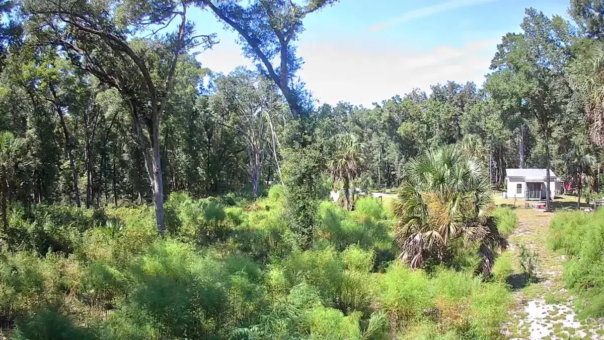 Lots 7 and 8 Caliente Drive, Crawfordville, FL 32327 - #1