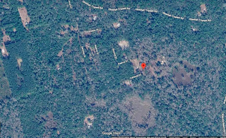 Lots 7 and 8 Caliente Drive, Crawfordville, FL 32327 - #3