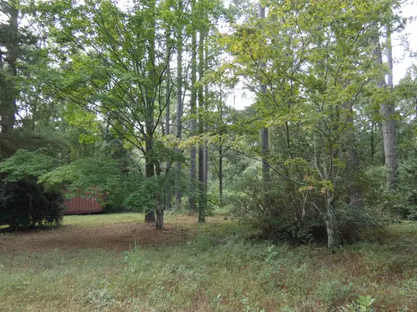 TBD Spring Hollow Drive, Monticello, FL 32344