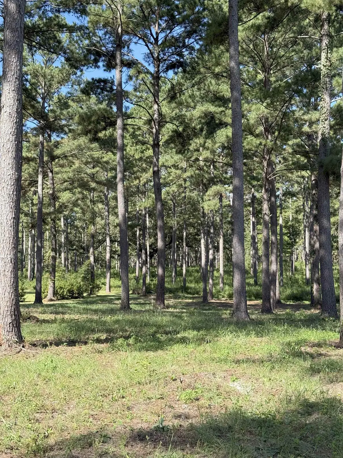 Lot 11A Lake Pisgah Drive, Tallahassee, FL 32309 - #1