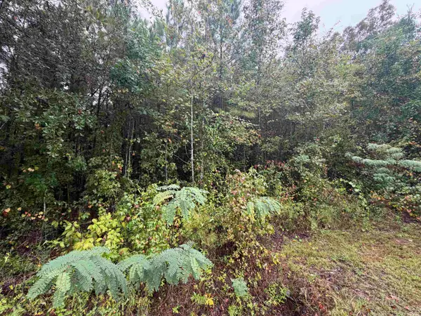 0 Reaves Drive, Midway, FL 32343
