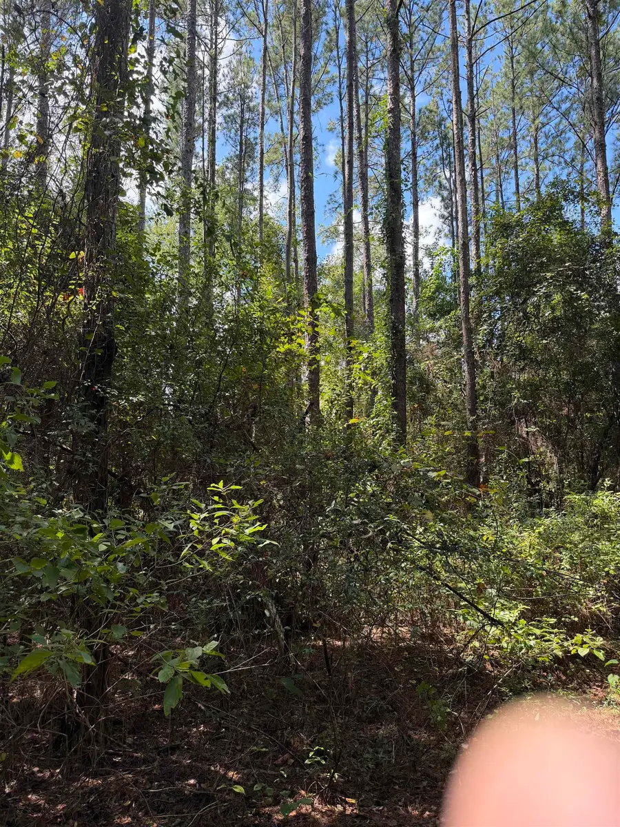 XXX Sipsey Way, Tallahassee, FL 32305 - #2