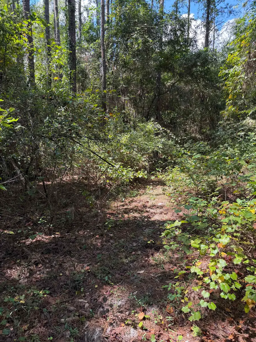 XXX Sipsey Way, Tallahassee, FL 32305 - #3