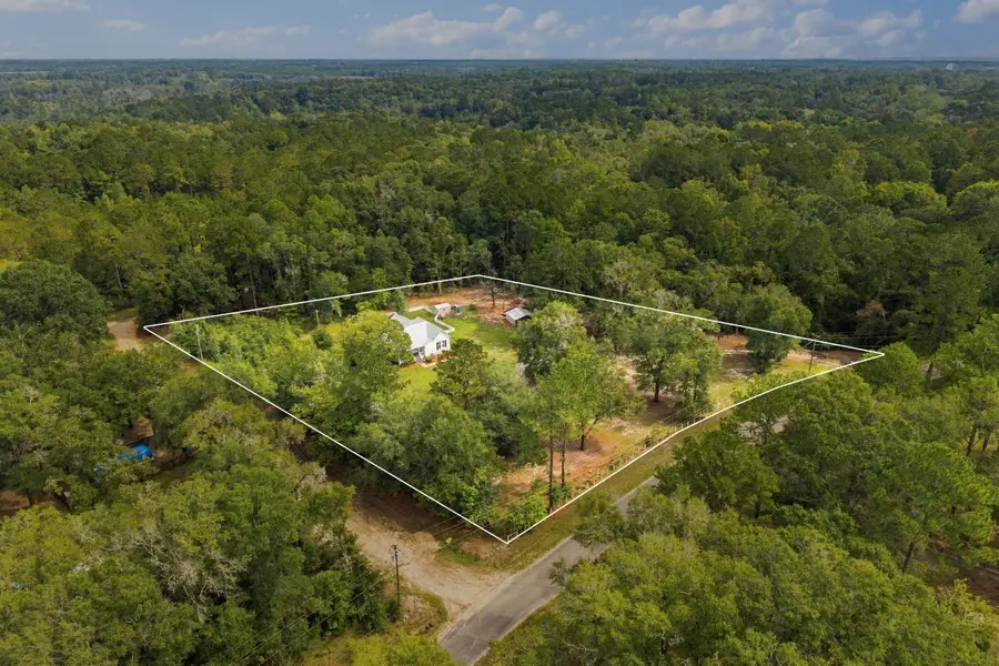 450 Riverview Road, Havana, FL 32333 - #3