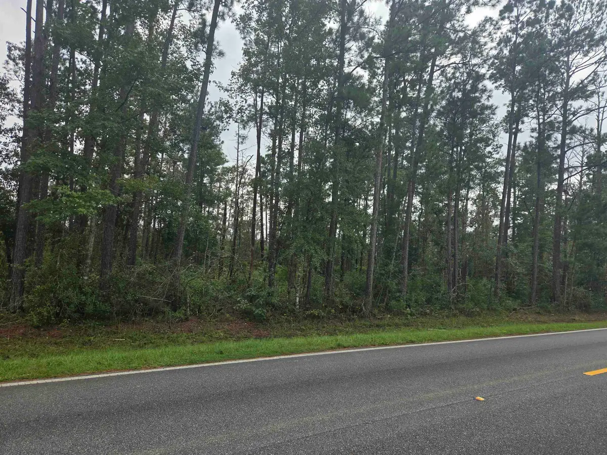 XXX SW Cr 333 East, Bristol, FL 32321 - #1