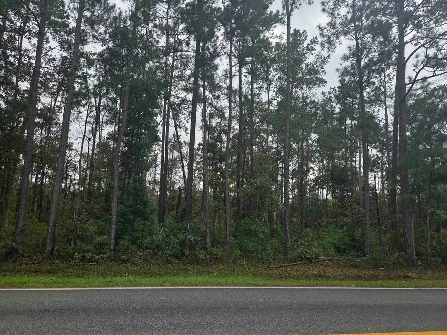 XXX SW Cr 333 East, Bristol, FL 32321 - #3