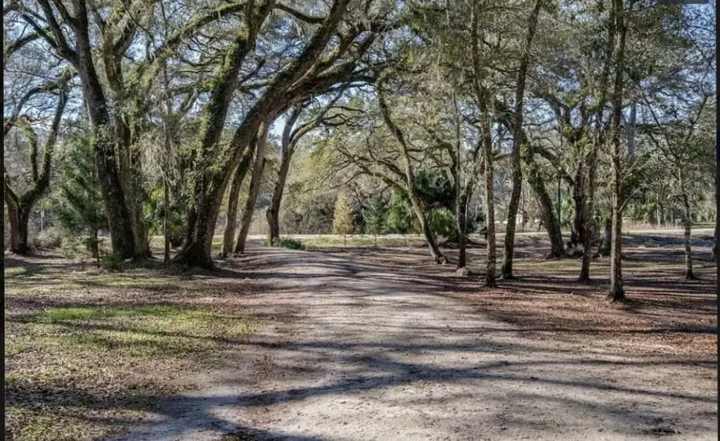 357 NE 434th Street, Old Town, FL 32680 - #1