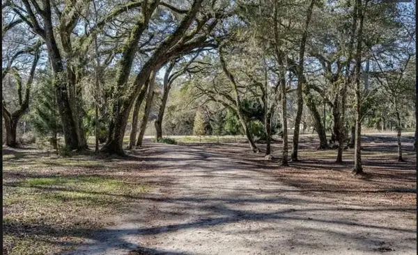 357 NE 434th Street, Other Florida, FL 32680