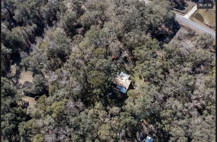 357 NE 434th Street, Old Town, FL 32680 - #3