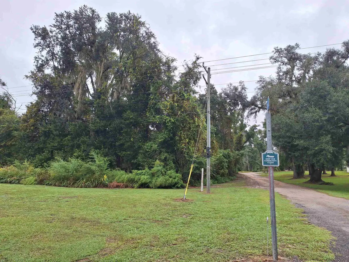 NW Oriole Way, Greenville, FL 32331 - #1