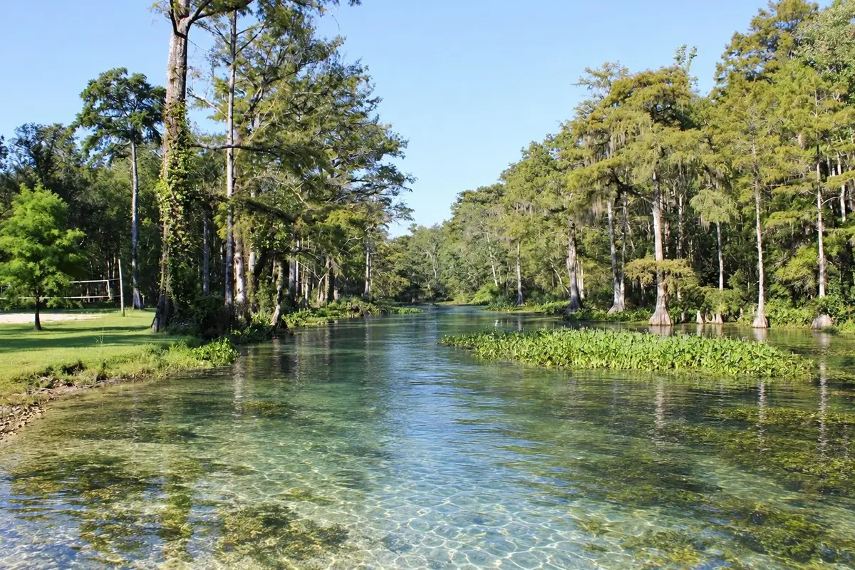 1410 Malloy Landing A Road, Monticello, FL 32344 - #1