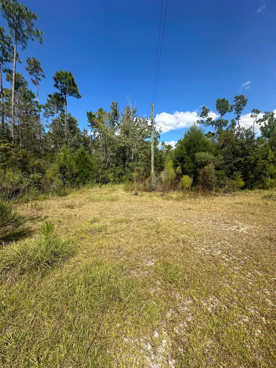 N Sr 71, Altha, FL 32421 - #2