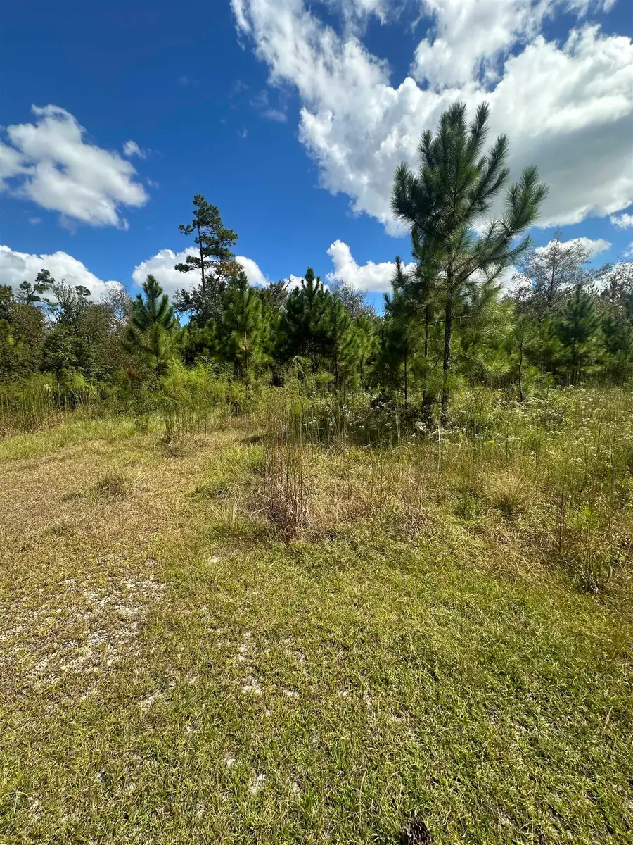 N Sr 71, Altha, FL 32421 - #3