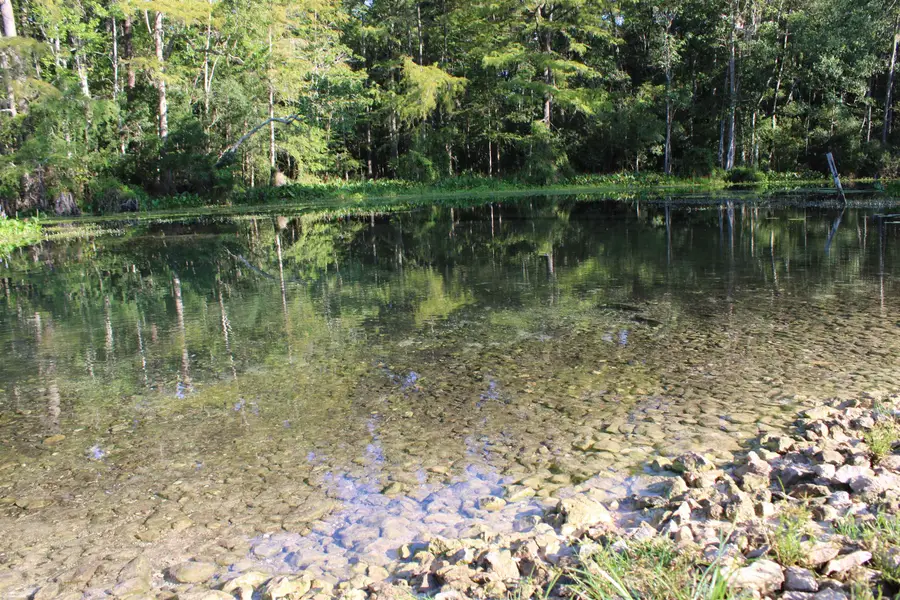 1415 Malloy Landing Road, Monticello, FL 32344 - #2