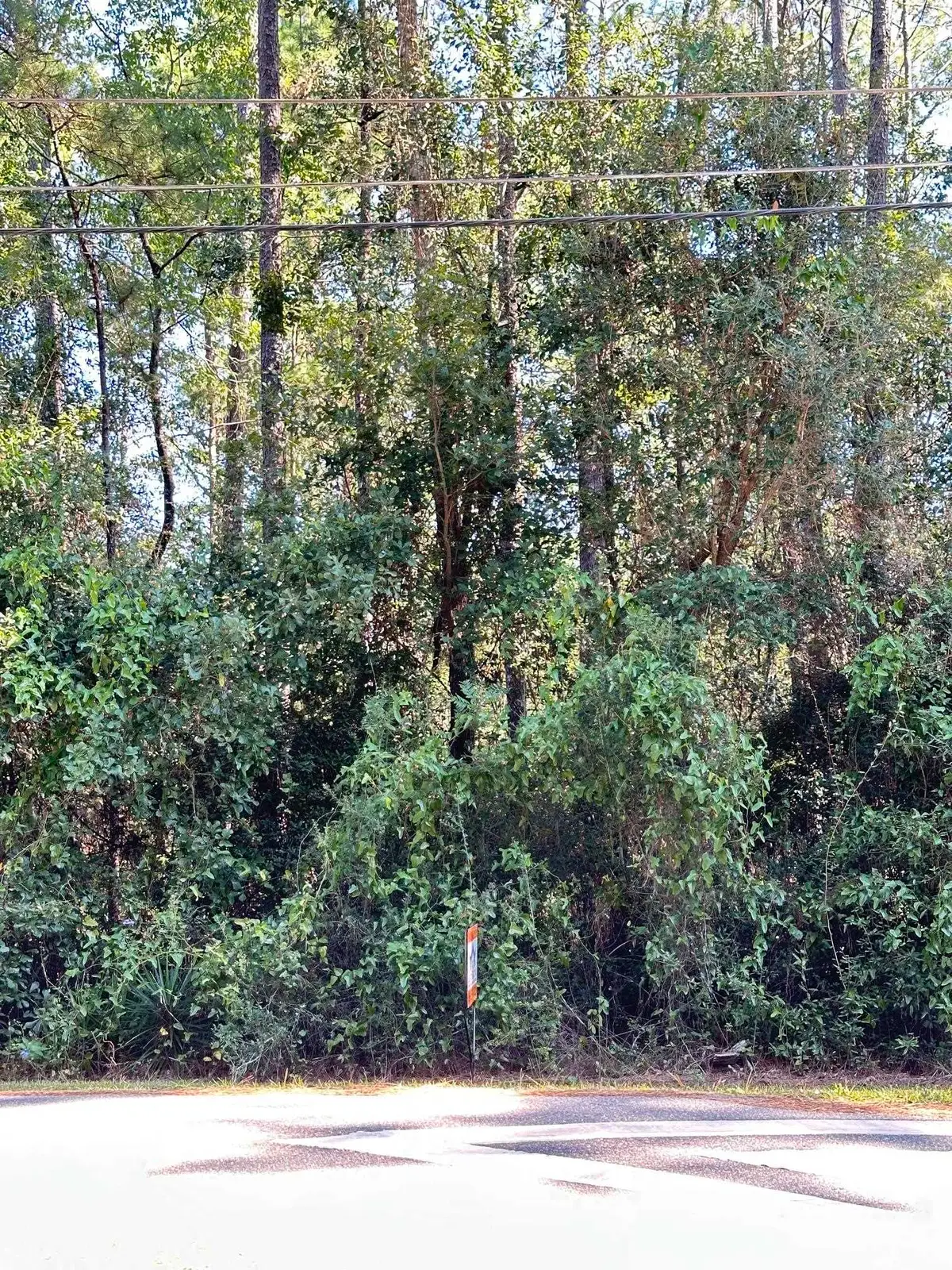 0 Lonnie Rd, Tallahassee, FL 32308 - #1