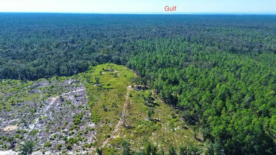 21809 W Us 98, Lamont, FL 32336 - #3