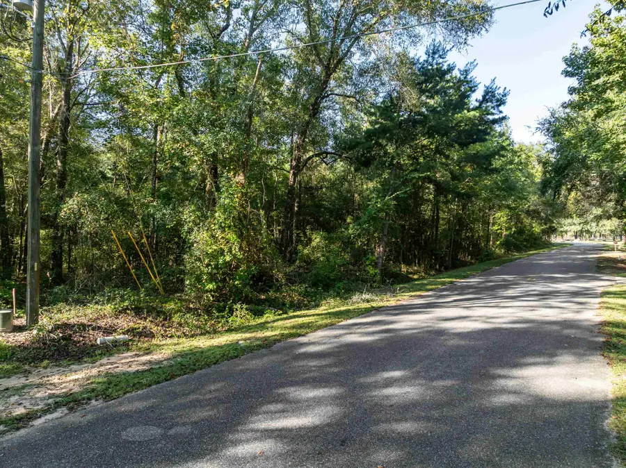 635 Mason Drive, Havana, FL 32333 - #3