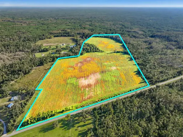 Vacant SW Canal Point Trail, Madison, FL 32340