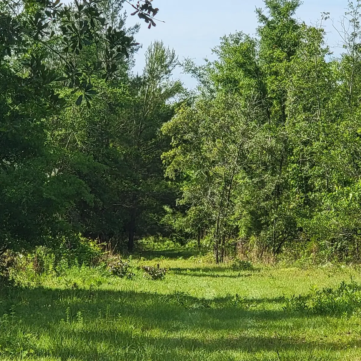 Vacant 20 AC SE Parliament Trail, Lee, FL 32059 - #1
