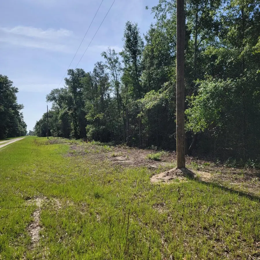 Vacant 20 AC SE Parliament Trail, Lee, FL 32059 - #3