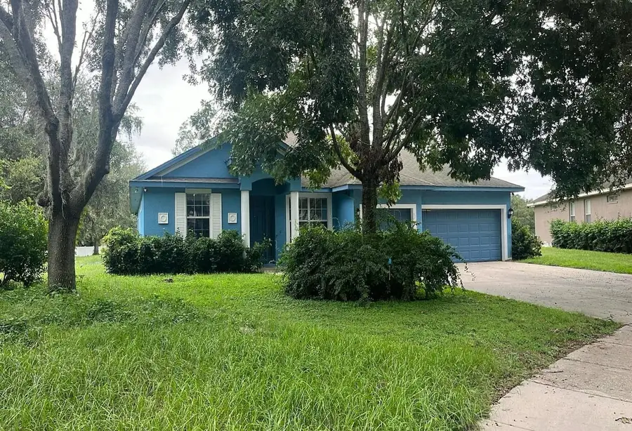 1126 Fennel Green Drive, Seffner, FL 33584 - #3