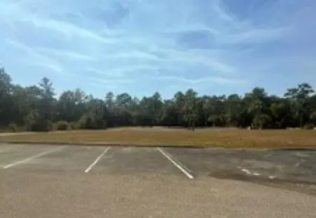 Lot O Burnt Pine Loop, St Marks, FL 32355
