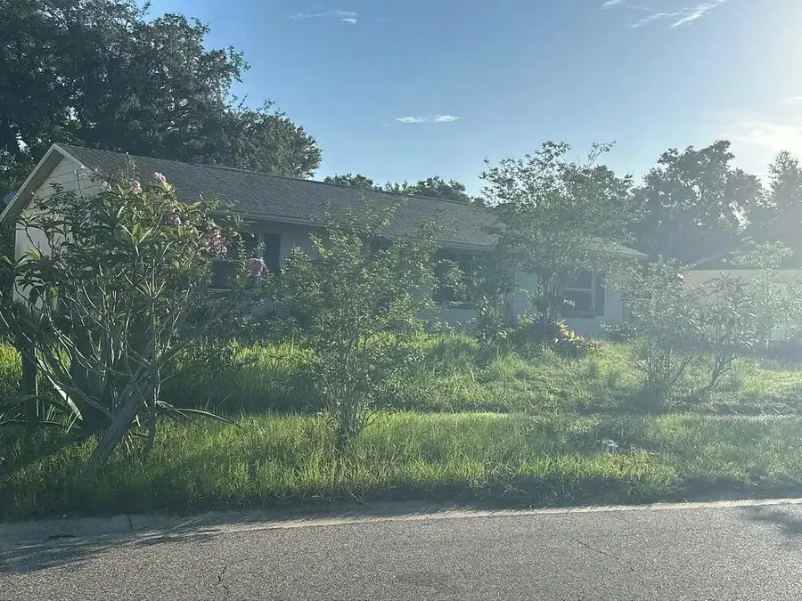 311 W 17th Street, South Apopka, FL 32703 - #3