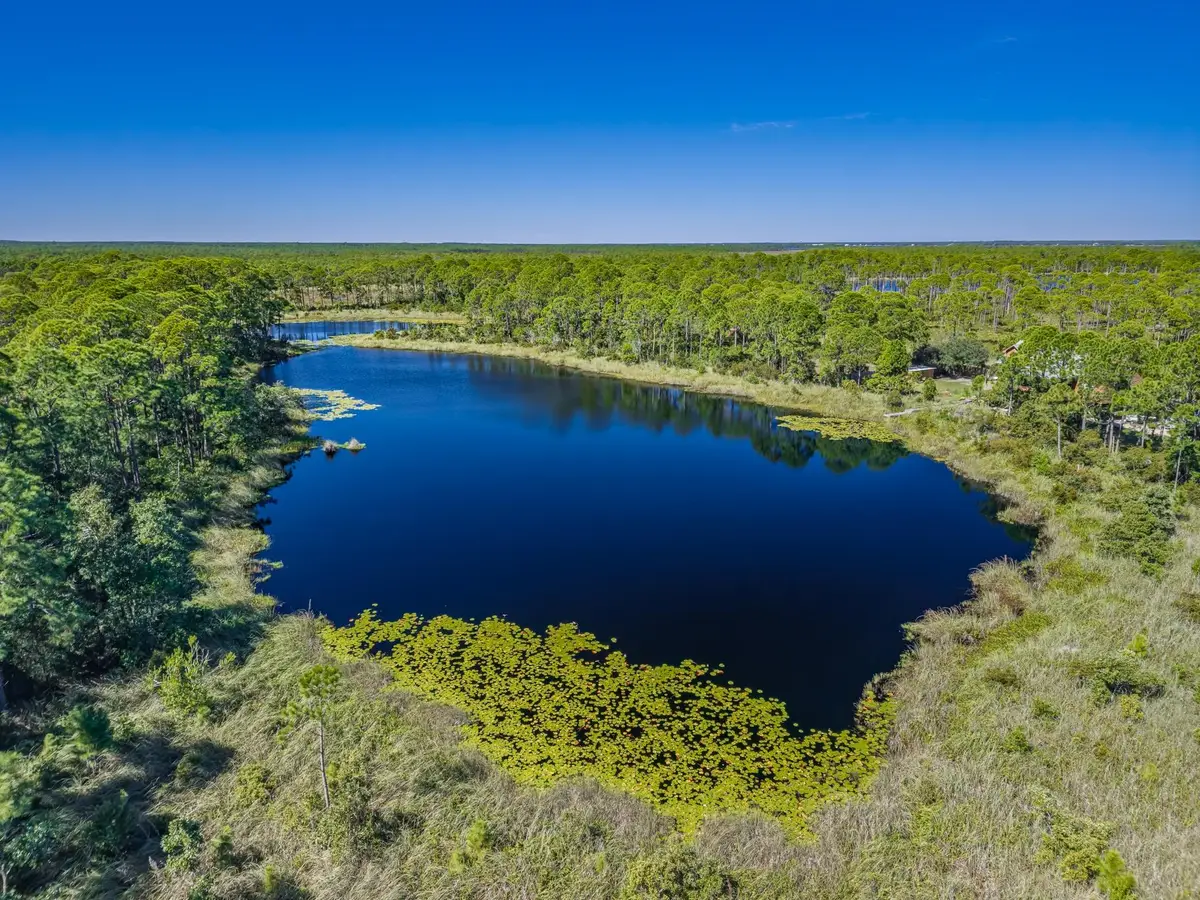 151 Price Street, Alligator Point, FL 32346 - #1