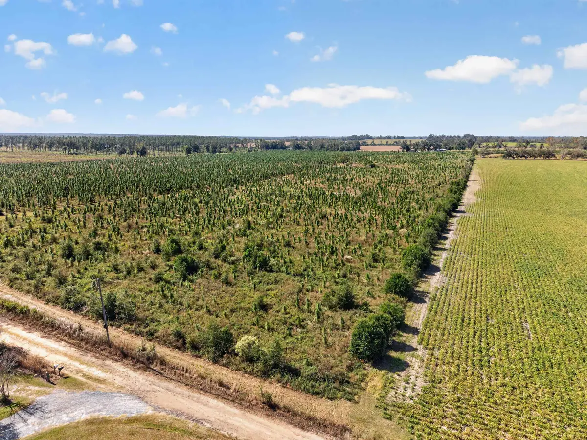 0 NE 14th Street, Lee, FL 32059 - #1