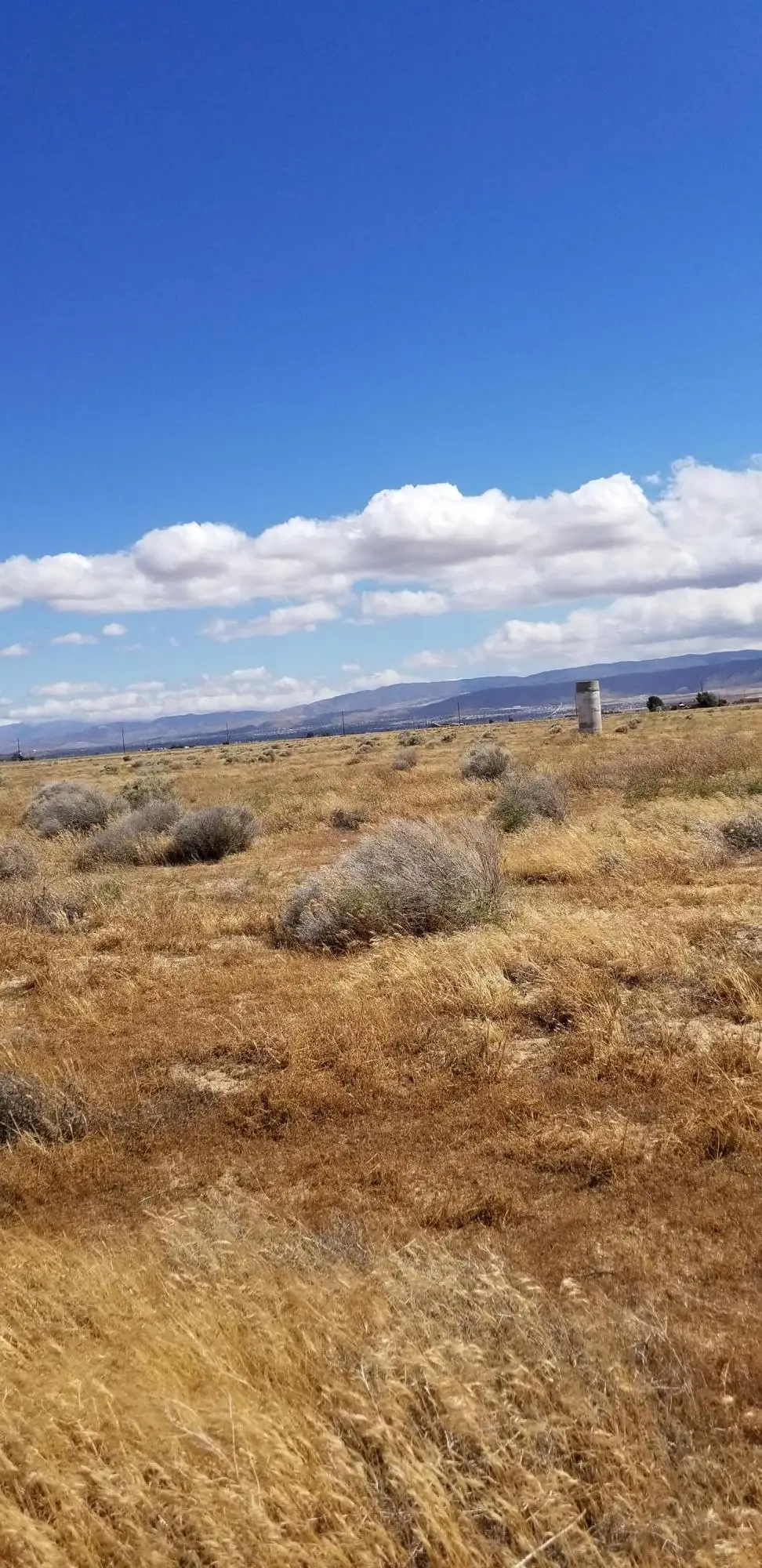 W Avenue F8, Lancaster, CA 93536 - #1