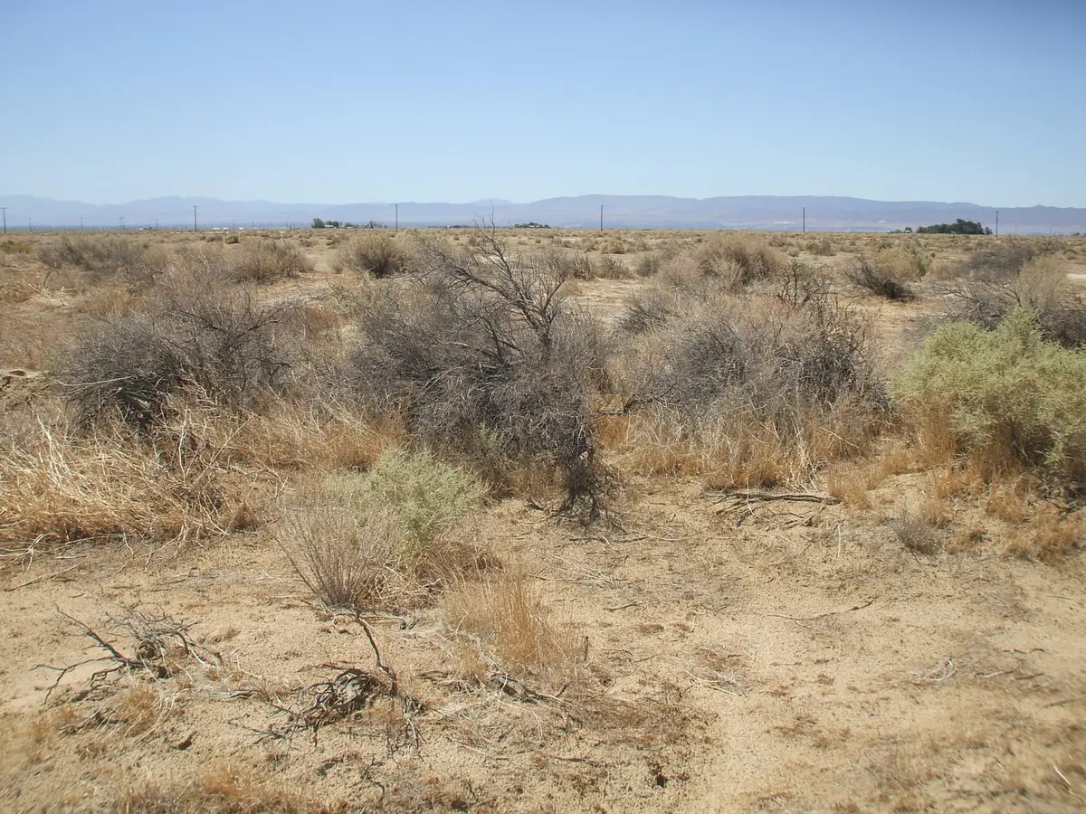 Ave A 12 W 43 St W Street, Del Sur, CA 93536 - #1