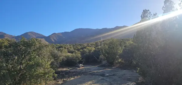 Nearwood Road, Juniper Hills, CA 93543