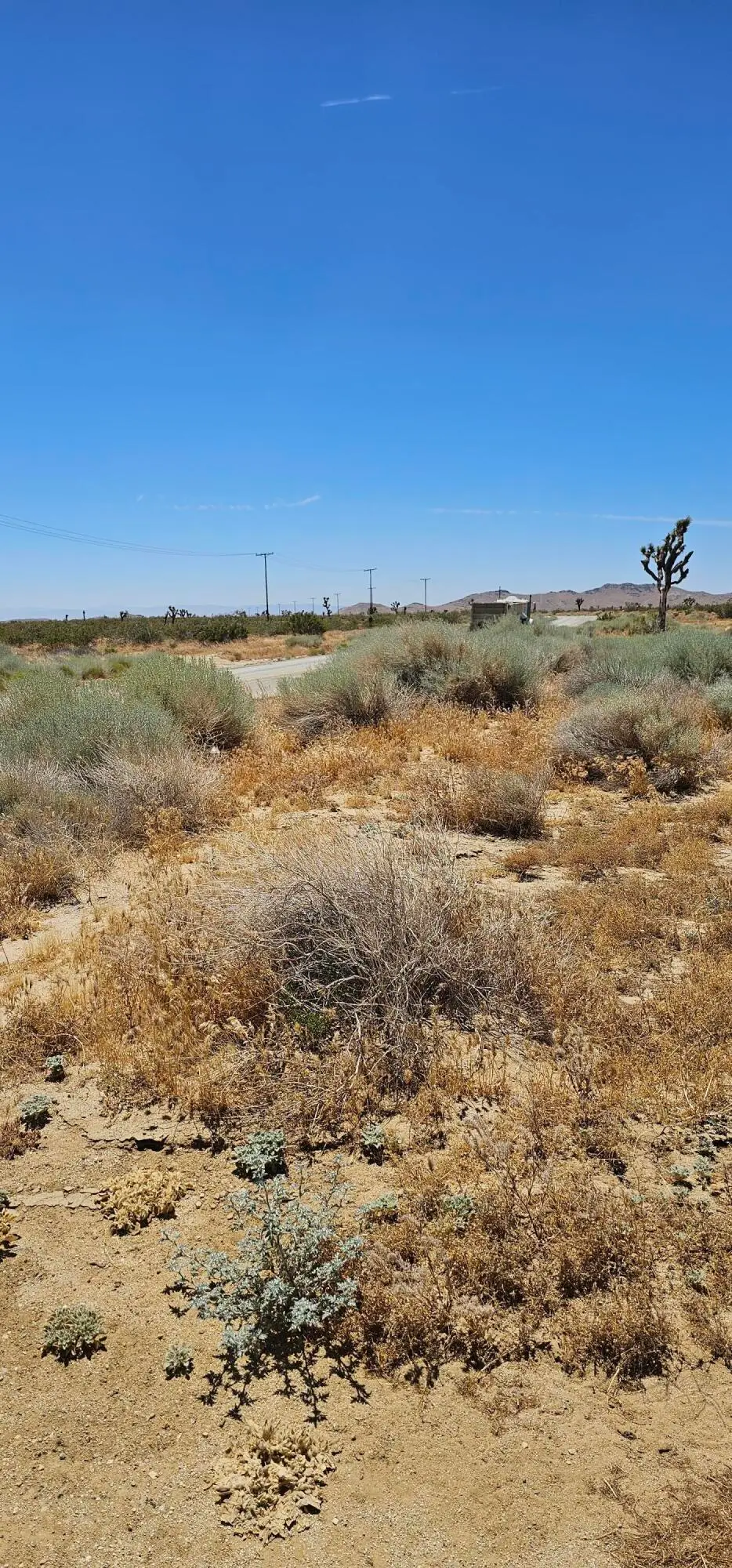 Longhorn Avenue, Mojave, CA 93501 - #1