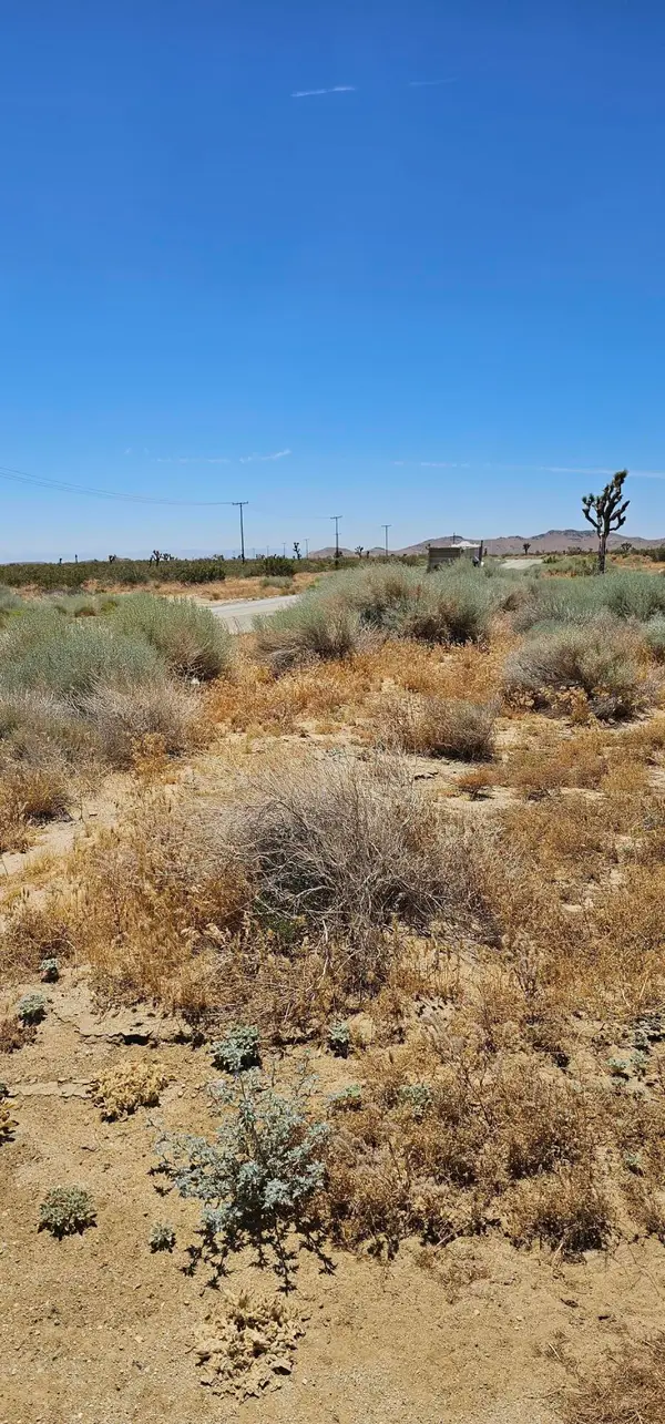 Longhorn Avenue, Mojave, CA 93501