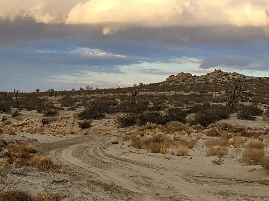 Ave N8 & 115th St E, Palmdale, CA 93591 - Image #3