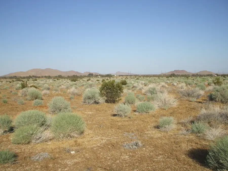 000 N Vim, Rosamond, CA 93560 - #2