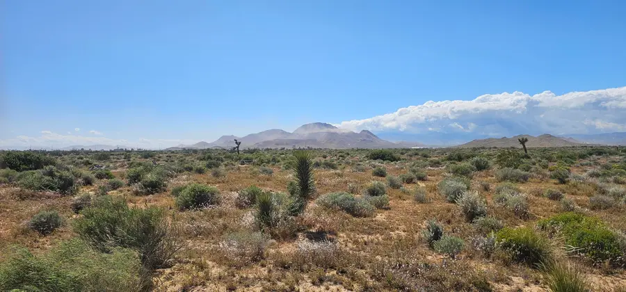 10th East, Mojave, CA 93501 - #3