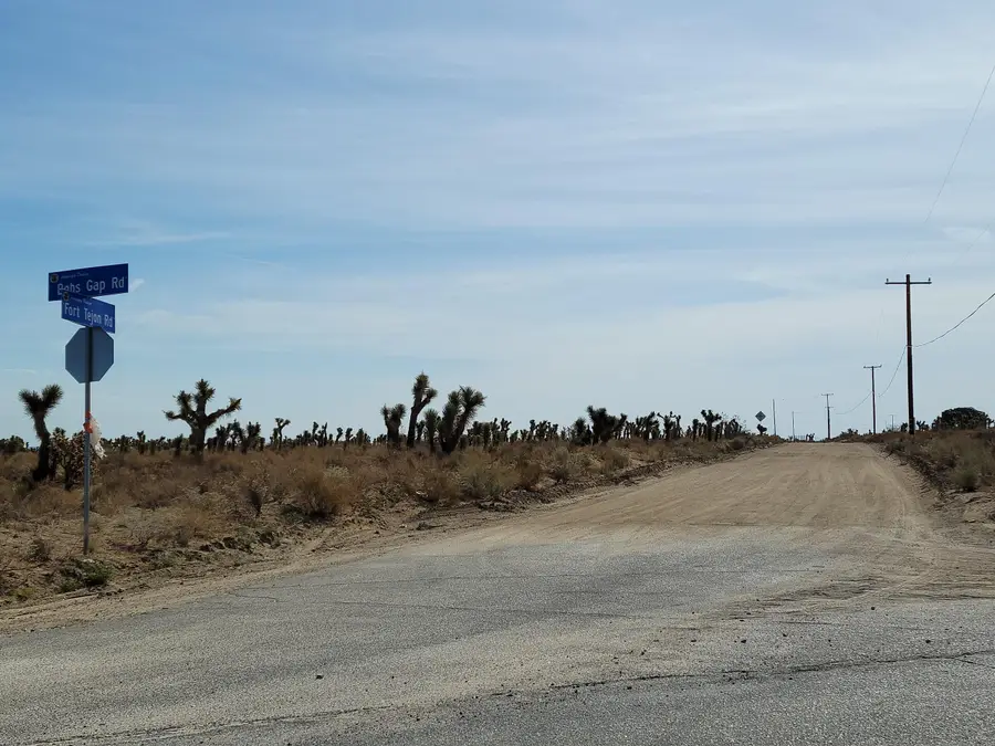 18501 Fort Tejon Road, Llano, CA 93544 - #3