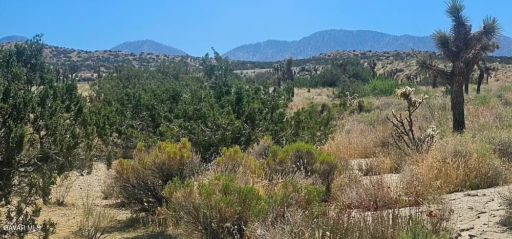 Avenue X / 136th St E, Pearblossom, CA 93553 - Image #1