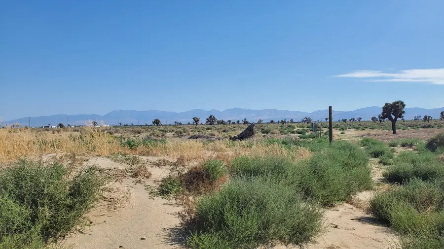 Ave L Near 87th St East, Palmdale, CA 93591 - #3