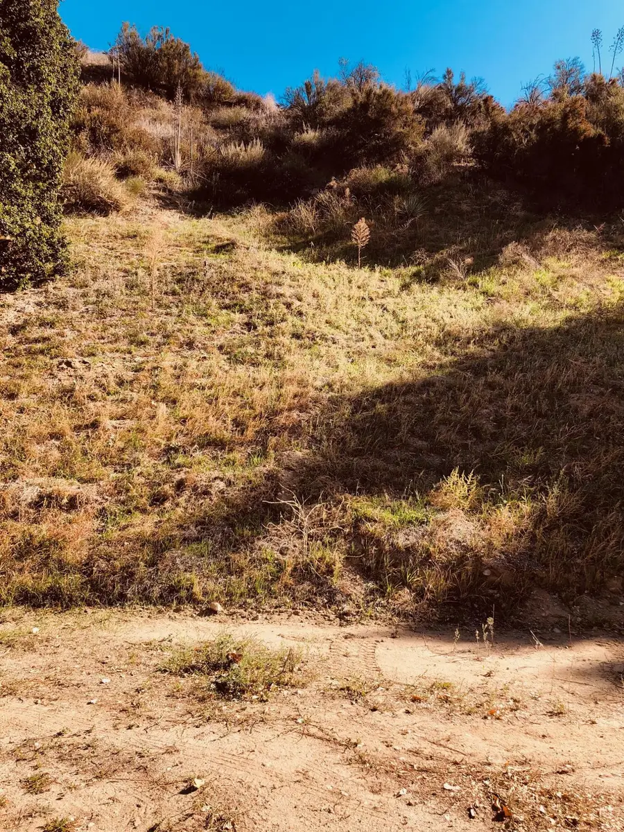 Lincoln Avenue, Val Verde, CA 91384 - Image #2