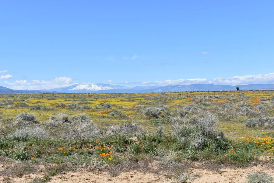 Cor Avenue C12 & 141st St West, Fairmont, CA 93536 - Image #3