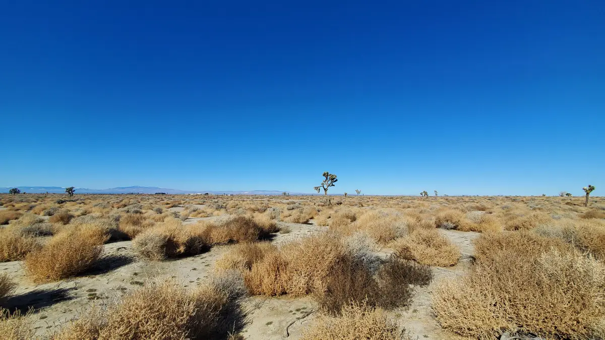 Vicinity Ave L2 & 77th St East, Palmdale, CA 93590 - Image #1