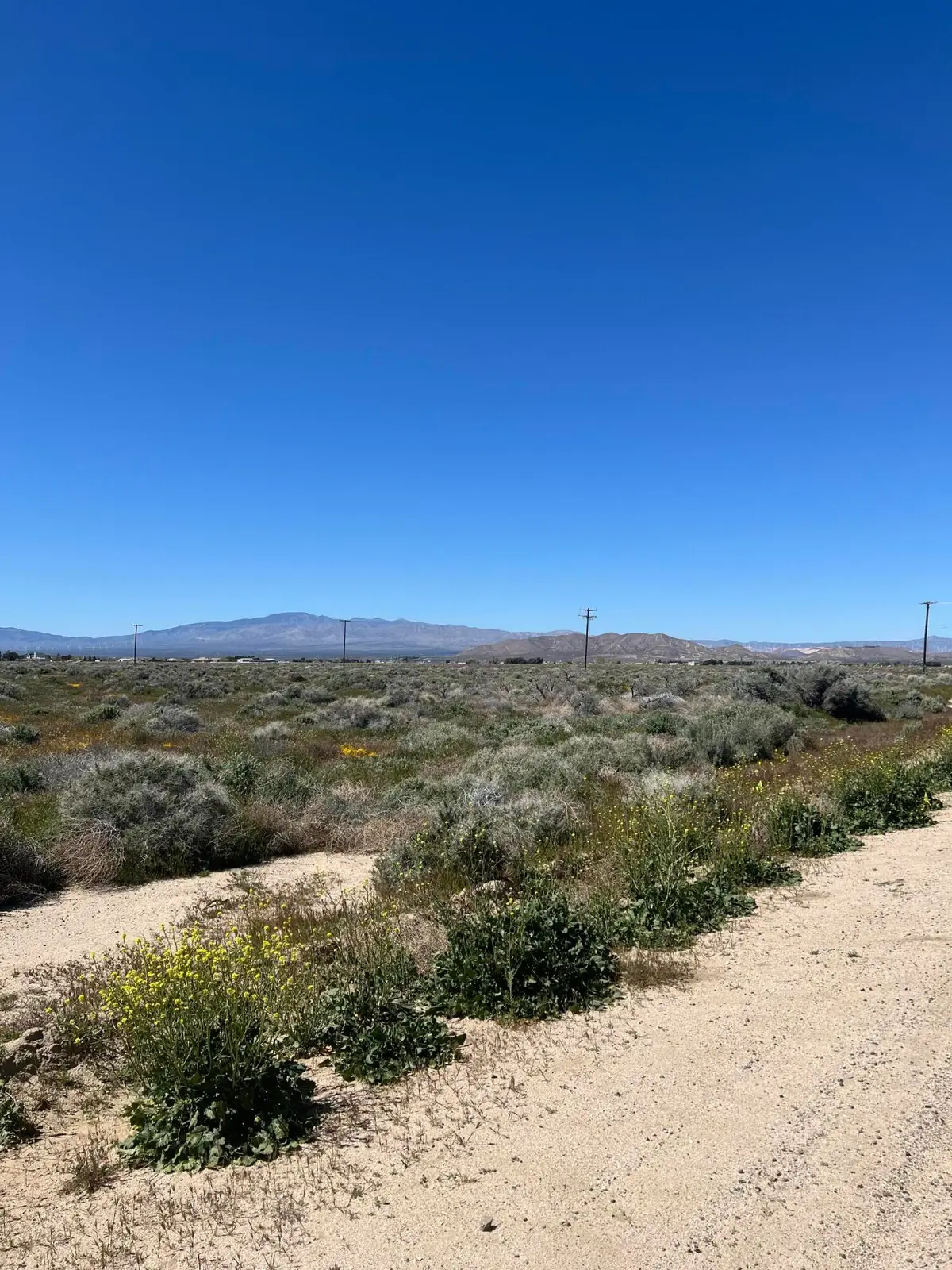 Cor Avenue A2 60 Stw, Lancaster, CA 93536 - #1