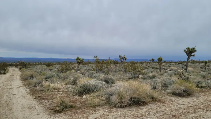 202nd St E & Ave X4, Llano, CA 93544 - Image #2