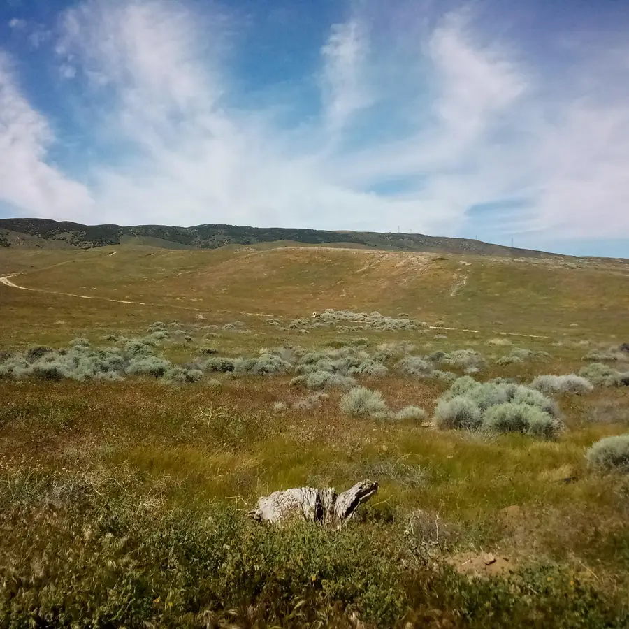 Vic Avenue K 111 Stw, Del Sur, CA 93536 - #2