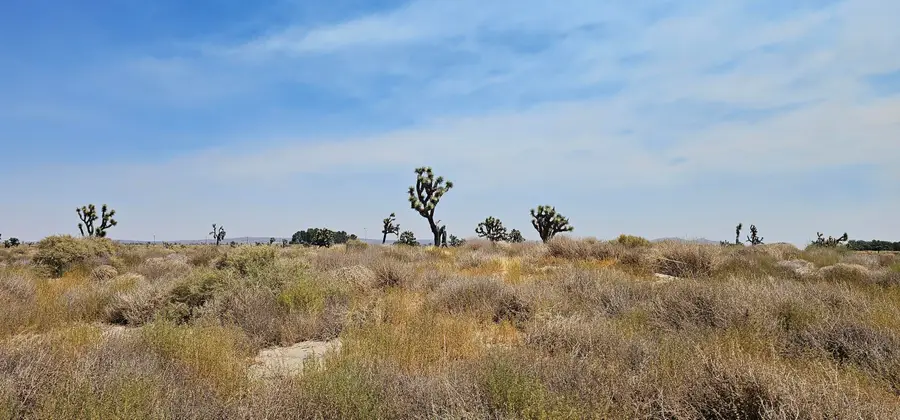 90th East Avenue I4 Ste, Lancaster, CA 93535 - #2