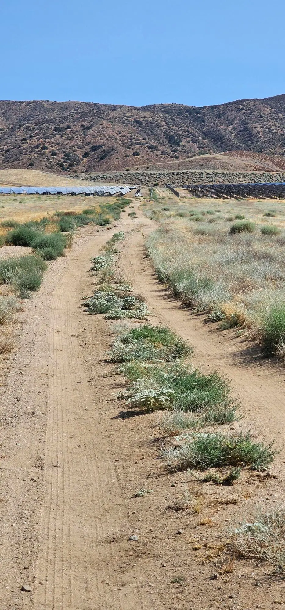 100th Street West / Avenue K12, Lancaster, CA 93536 - #1