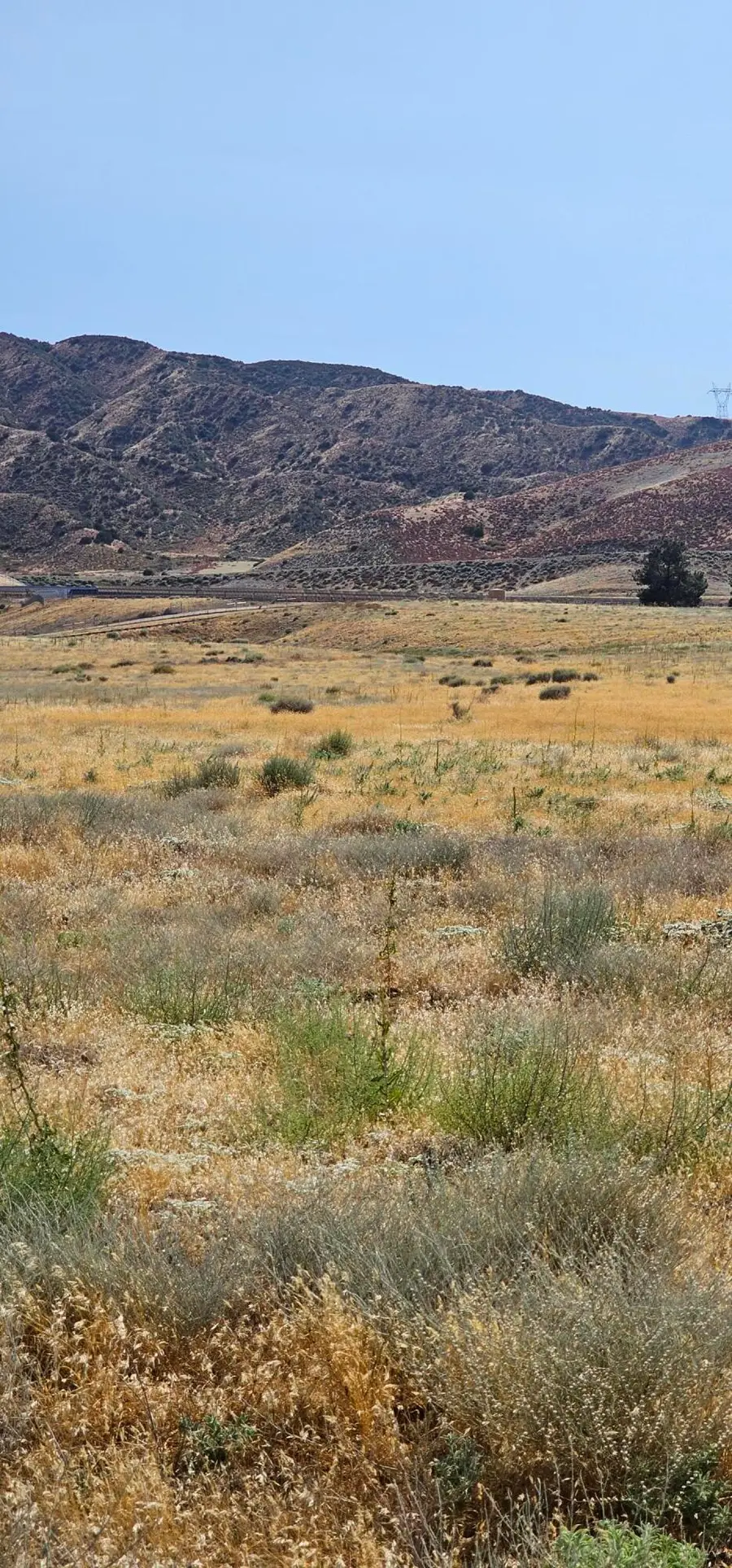 100th Street West / Avenue K12, Lancaster, CA 93536 - #3