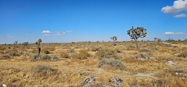 0 E 70th Street, Palmdale, CA 93550